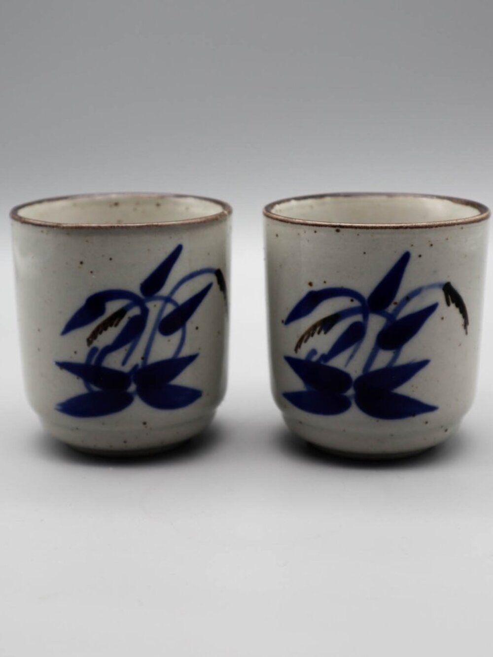 2 Japanese Pottery Yunomi Tea Cups Sake Set Speckled Blue Floral Botanical